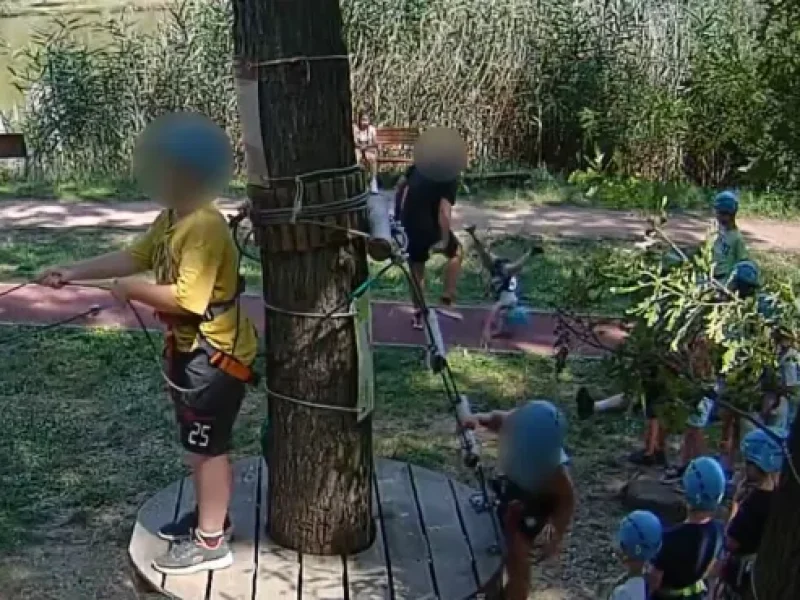 felrugas_focuspointscale_w555_fx0_fy0